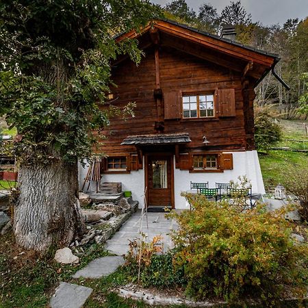 Chalet Les Rindes Нендаз Екстериор снимка