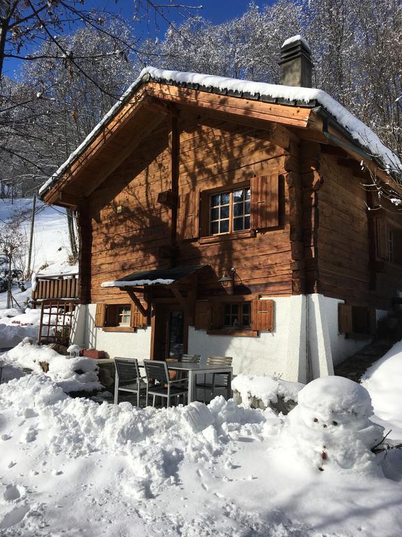 Chalet Les Rindes Нендаз Екстериор снимка